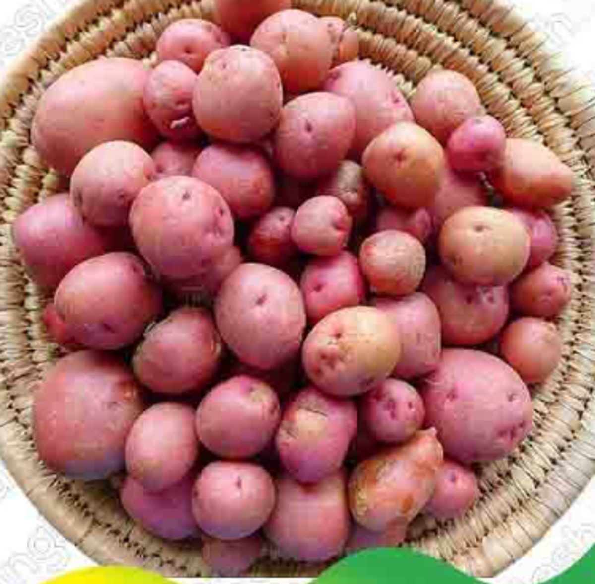 লাল গোল আলু – Potato (পটেটো)/  ১ কেজি - Image 1