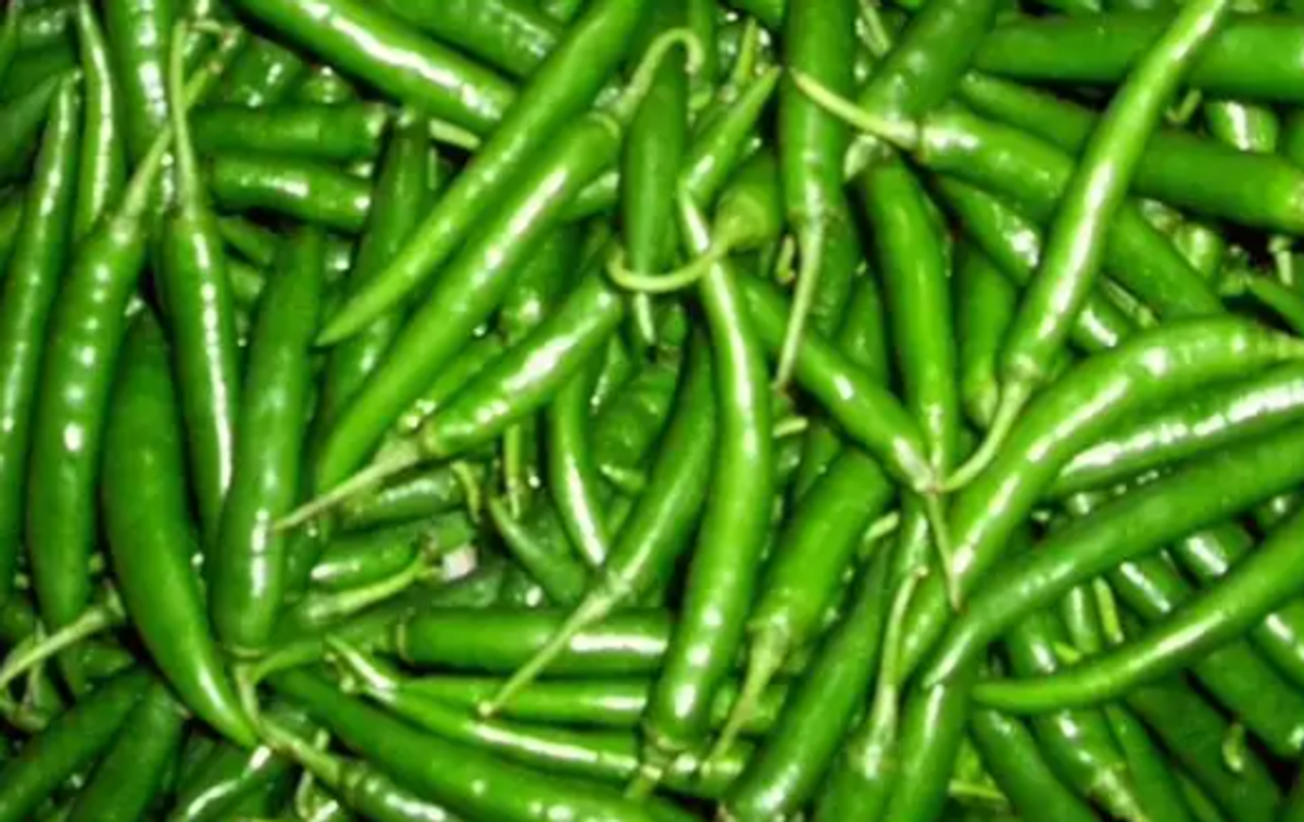 কাঁচা মরিচ (Chili pepper) - Image 1
