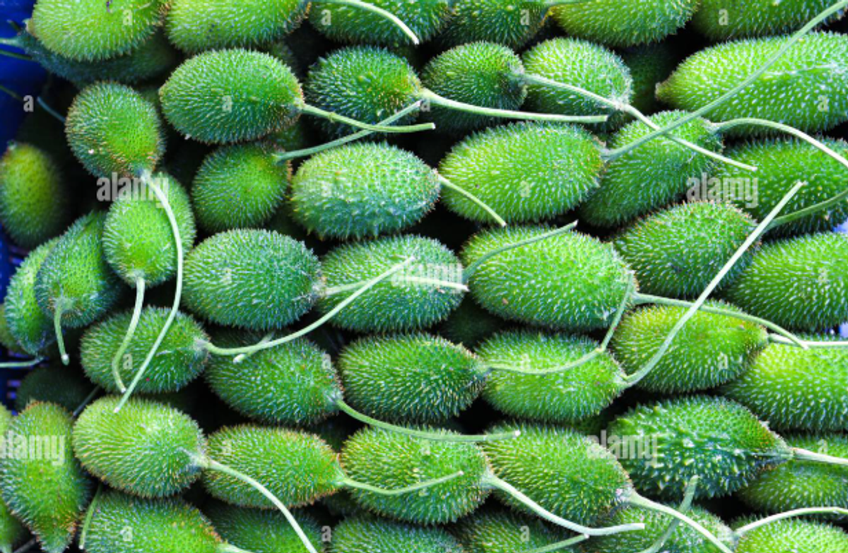 কাঁকরোল – Sweet Bitter Gourd (সুইট বিটার গোর্ড)/  ১ কেজি - Image 1