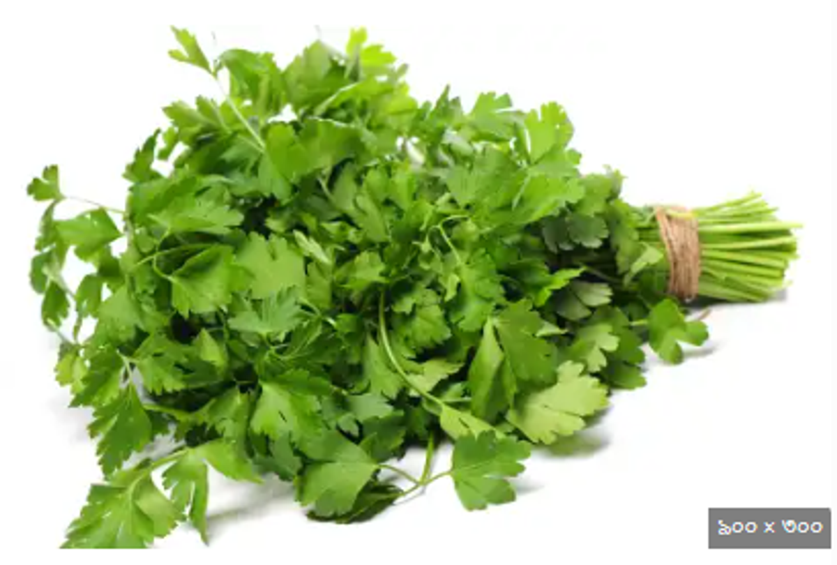 ধনে পাতা – Coriander (করিয়্যান্ডার) - Image 1