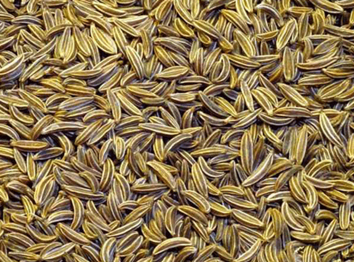 জিরা / ১০০ গ্রাম - Image 1