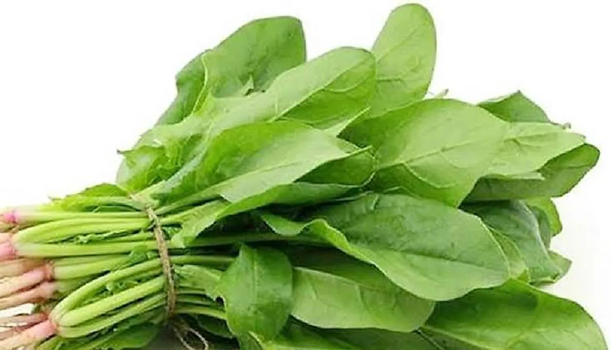 পালং শাকের Spinach (স্পিনাচ)/প্রতি কেজি - Image 1