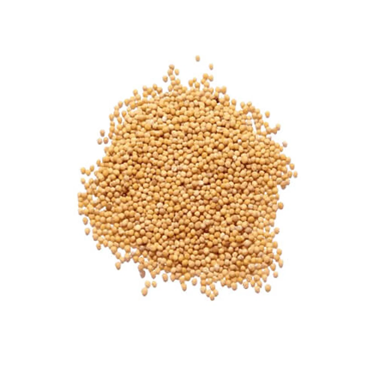 সরিষা (সাদা) 250 gm - Image 1