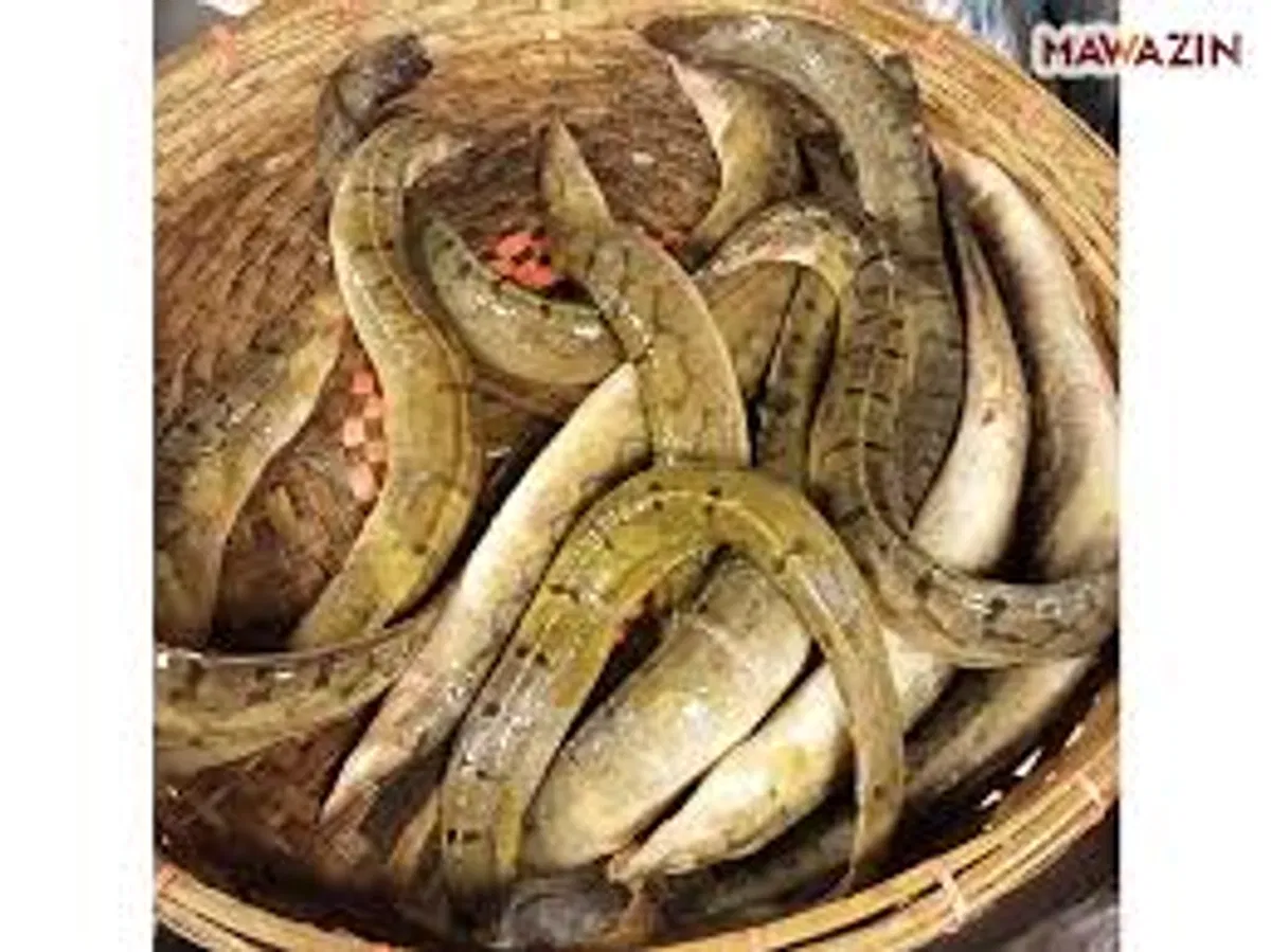 বাইম মাছ  (বড়) / ১ কেজি - Image 1