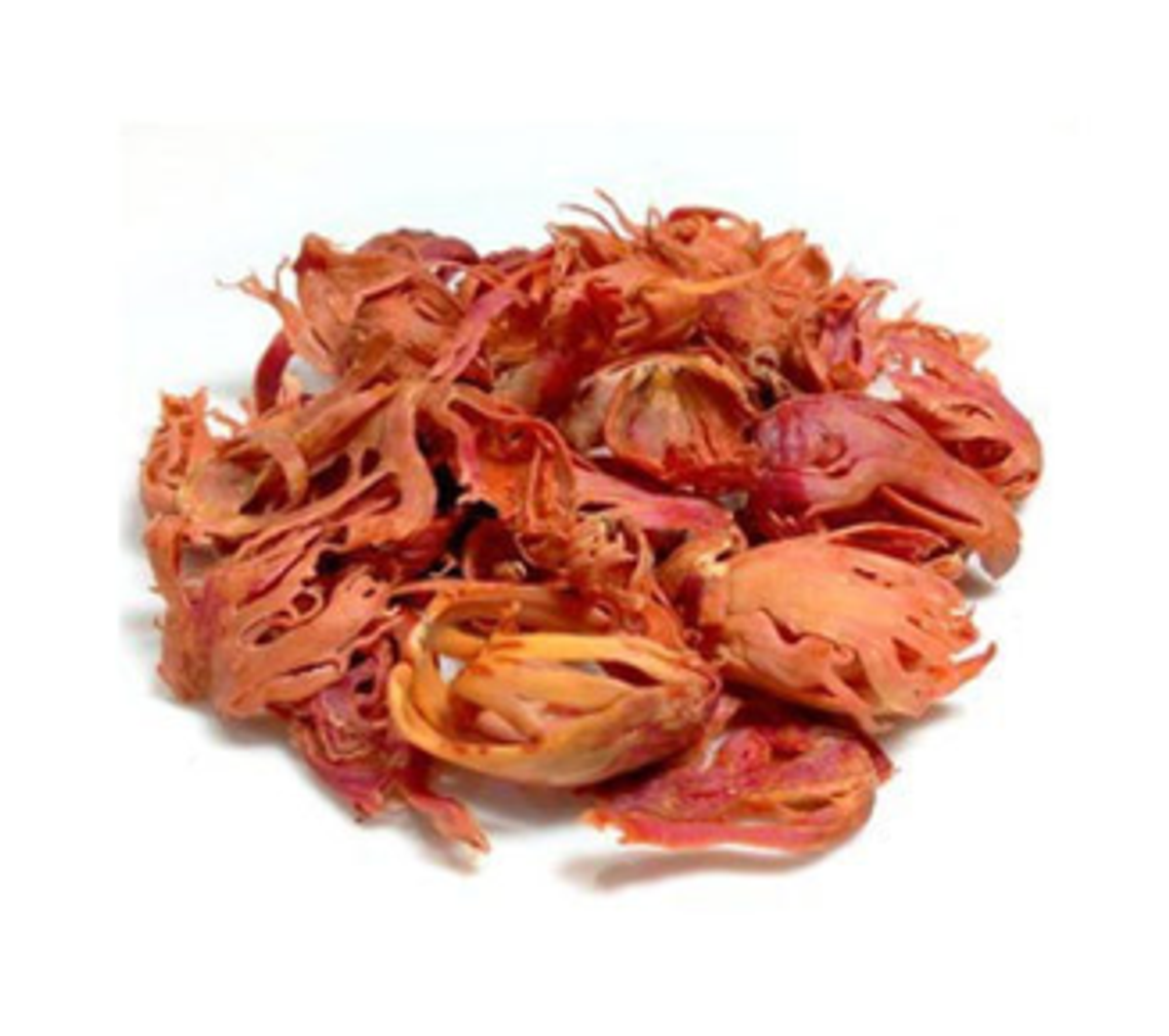 জয়ত্রী / যত্রিক - Image 1