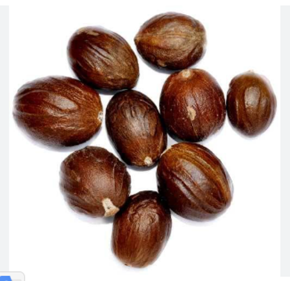 জায়ফল (Nutmeg) 100 gm - Image 1