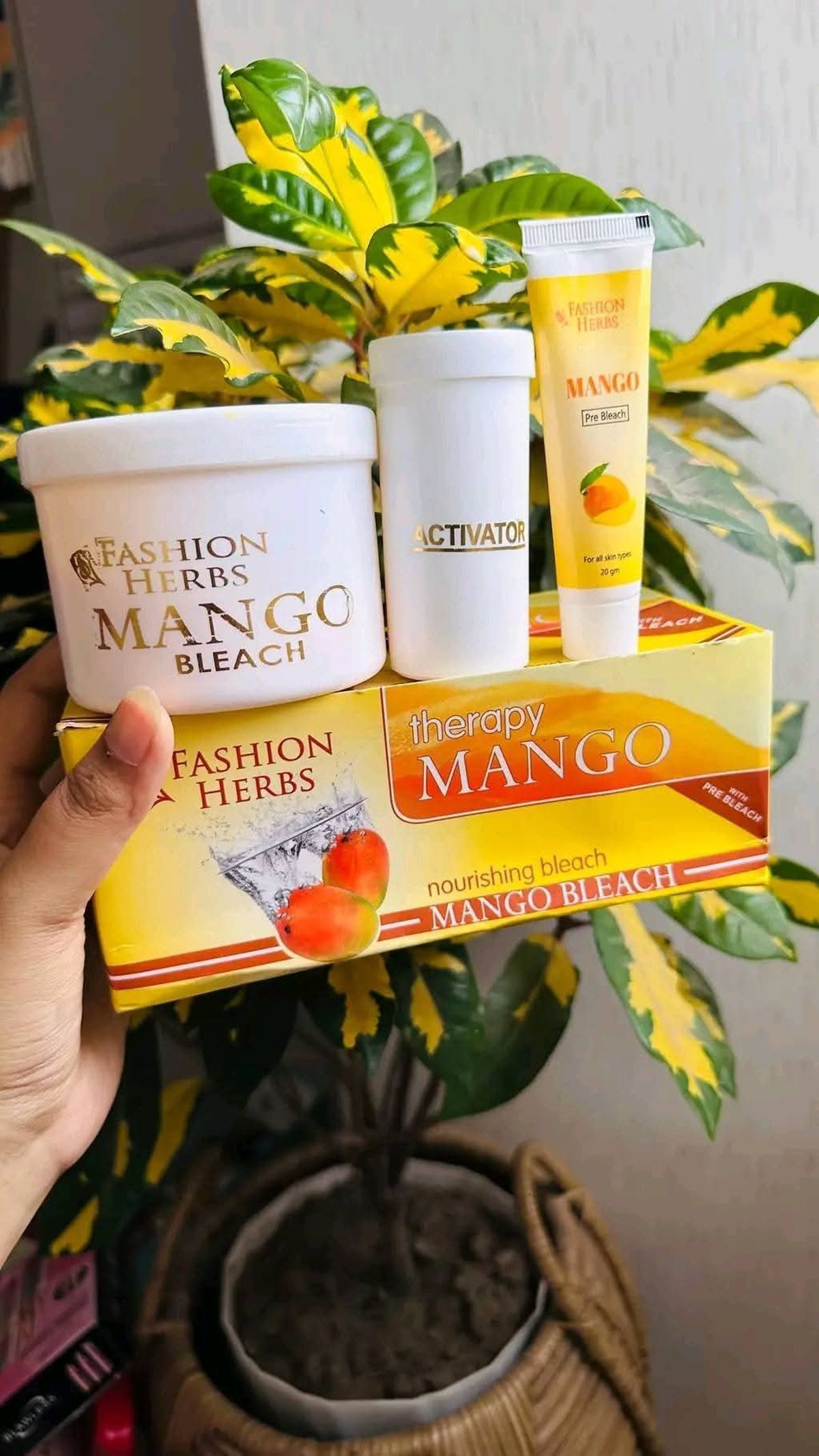 FASHION HERBS (therapy MANGO)MANGO Bleach Cream - Image 1
