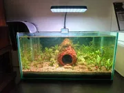 Rs L13 full spectrum led light_img_1