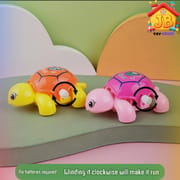 Cute Wind-Up Small Turtle Toy for Kids_img_3