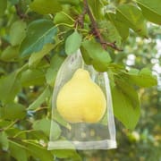 fruit protection bag - Reusable Fruit Insect Proof Drawstring Bags - Plants Protection Mesh Bags Pest Barrier Covers for Fruit Trees Home Garden Supplies_img_1