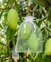 fruit protection bag - Reusable Fruit Insect Proof Drawstring Bags - Plants Protection Mesh Bags Pest Barrier Covers for Fruit Trees Home Garden Supplies_img_2