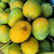 হিমসাগর আম (রাজশাহী) Himsagor Mango_img_3