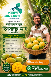 সাতক্ষীরার হিমসাগর আম (Himsagor Mango)_img_0
