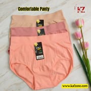 Seamless Panty_img_0