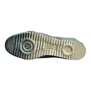 Onitsuka tiger ( Nippon version)_img_4