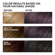 L'Oreal Paris Feria Permanent Hair Color, 525 Purple Smoke_img_3