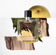 Terre d'Hermes Parfum Parfum 200ML_img_0