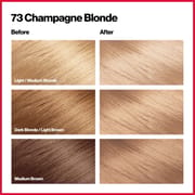 Revlon Colorsilk Beautiful Hair Color 73 Champagne Blonde_img_3
