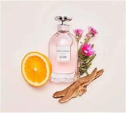 COACH DREAMS EDP – 90ml_img_1