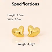 Puffy Heart Earring_img_0