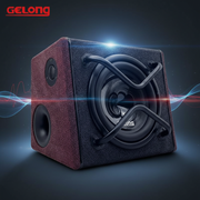Gelong GL-1032 – 600W Active Subwoofer Enclosure_img_5