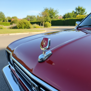 Bonnet Logo Stand (Red Badge Shape)_img_6