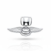 Bonnet Logo (Eagle Wings)_img_3