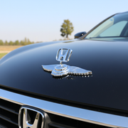 Bonnet Logo (Eagle Wings)_img_9