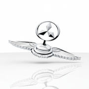 Bonnet Logo (Eagle Wings)_img_2