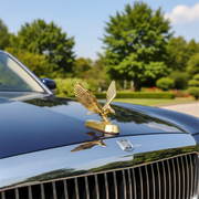 Bonnet Logo (Eagle)_img_2