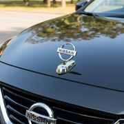 Car Bonnet Logo (Silver)_img_5