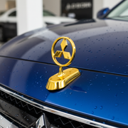 Car Bonnet Logo (Golden)_img_5