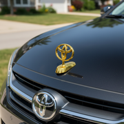 Car Bonnet Logo (Golden)_img_4