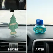 Poppy DX-10 Premium Liquid Car Perfume (100ml)_img_10
