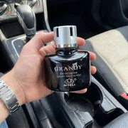 AITELI Grandy Liquid Car Air Freshener (138ml)_img_8