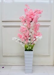 Big plant_img_8