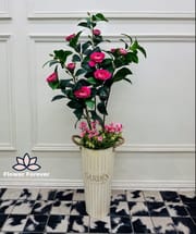 Big plant_img_5