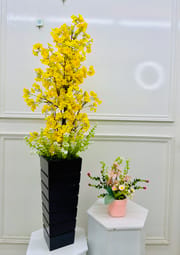 Big plant_img_3