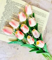 Single Tulip_img_2