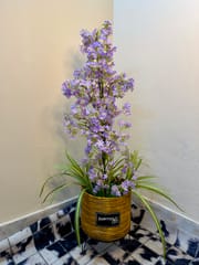 Flower plants_img_1
