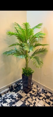 Luxury plants_img_1