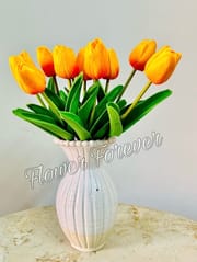 Single Tulip_img_3