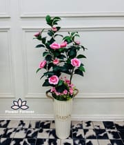 Big plant_img_7