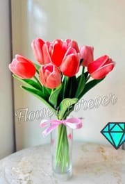 Single Tulip_img_4