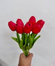 Single Tulip_img_5
