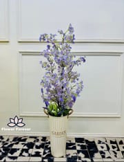 Big plant_img_9