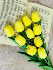Single Tulip_img_1
