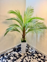 Luxury plants_img_5