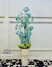 Big plant_img_10