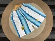 Argentina fan addition short_img_0